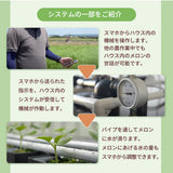 メロン 【ルーツ】 マスクメロン アールスメロン 1玉 1.4～1.6㎏ 贈答用 静岡県袋井市
