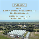 メロン 【ルーツ】 マスクメロン アールスメロン 1玉 1.4～1.6㎏ 贈答用 静岡県袋井市