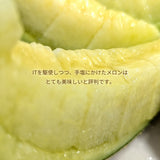 メロン 【ルーツ】 マスクメロン アールスメロン 1玉 1.4～1.6㎏ 贈答用 静岡県袋井市