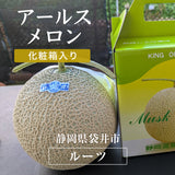 メロン 【ルーツ】 マスクメロン アールスメロン 1玉 1.8～2.2㎏ 大玉 贈答用 静岡県袋井市