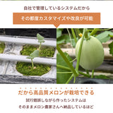 メロン 【ルーツ】 マスクメロン アールスメロン 1玉 1.8～2.2㎏ 大玉 贈答用 静岡県袋井市