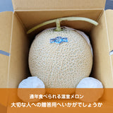 メロン 【ルーツ】 マスクメロン アールスメロン 1玉 1.8～2.2㎏ 大玉 贈答用 静岡県袋井市