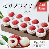 ライチ 【森緑園】 国産 生ライチ モリノライチ 400g 10玉 糖度15度 贈答用 宮崎県 《6/下旬～7/中旬の出荷》