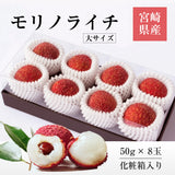 ライチ 【森緑園】 国産 生ライチ モリノライチ 400g 大サイズ 8玉 糖度15度 贈答用 宮崎県 《6/下旬～7/中旬の出荷》