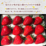 いちご 【モスト絆ファーム】 農薬不使用 特選 伊達の極み苺 400g 福島県伊達市 《2/上旬～4/下旬までに出荷》