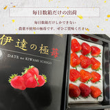いちご 【モスト絆ファーム】 農薬不使用 特選 伊達の極み苺 400g 福島県伊達市 《2/上旬～4/下旬までに出荷》