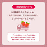 いちご 【モスト絆ファーム】 農薬不使用 特選 伊達の極み苺 400g×2P 福島県伊達市 《2/上旬～4/下旬までに出荷》