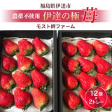 いちご 【モスト絆ファーム】 農薬不使用 特選 伊達の極み苺 400g×2P 福島県伊達市 《2/上旬～4/下旬までに出荷》