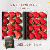 いちご 【モスト絆ファーム】 農薬不使用 特選 伊達の極み苺 400g×2P 福島県伊達市 《2/上旬～4/下旬までに出荷》