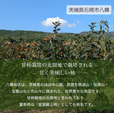 柿 甘柿 【成田柿園】 やさとの柿 富有柿・次郎柿等  3.5kg 2L 14個 茨城県石岡市《11/上旬～11/中旬より出荷》