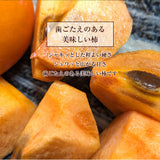 柿 甘柿 【成田柿園】 やさとの柿 富有柿・次郎柿等  3.5kg L 16個 茨城県石岡市 《11/上旬～11/中旬より出荷》