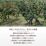 柿 甘柿 【成田柿園】 やさとの柿 富有柿・次郎柿等  3.5kg L 16個 茨城県石岡市 《11/上旬～11/中旬より出荷》