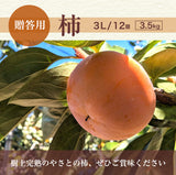 柿 甘柿 【成田柿園】 やさとの柿 富有柿・次郎柿等  3.5kg 3L 12個 茨城県石岡市《11/上旬～11/中旬より出荷》