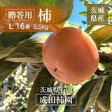 柿 甘柿 【成田柿園】 やさとの柿 富有柿・次郎柿等  3.5kg L 16個 茨城県石岡市 《11/上旬～11/中旬より出荷》