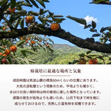 柿 甘柿 【成田柿園】 やさとの柿 富有柿・次郎柿等 家庭用 約3.5kg 12～16個 茨城県石岡市《11/上旬～11/中旬より出荷》