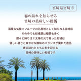 柑橘 【NSファーム】 金柑 L~2L 1kg 宮崎県宮崎市 《1/下旬～2/上旬より出荷》