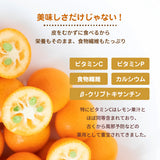 柑橘 【NSファーム】 金柑 L~2L 1kg 宮崎県宮崎市 《1/下旬～2/上旬より出荷》