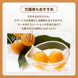 柑橘 【NSファーム】 金柑 L~2L 1kg 宮崎県宮崎市 《1/下旬～2/上旬より出荷》