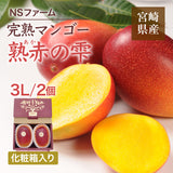 マンゴー 【NSファーム】 完熟マンゴー 糖度15度 ブランドマンゴー 熟赤の雫 3L 2個 880g 贈答用 御中元 宮崎県宮崎市《6/中旬～6/下旬より出荷》