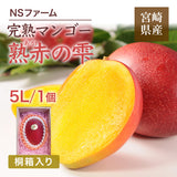 マンゴー 【NSファーム】 完熟マンゴー 糖度15度 ブランドマンゴー 熟赤の雫 特大 5L 1個 500g以上 桐箱 御中元 宮崎県宮崎市 《7/上旬～7/中旬より出荷》
