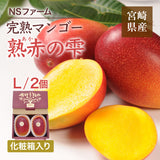 マンゴー 【NSファーム】 完熟マンゴー 糖度15度 ブランドマンゴー 熟赤の雫 L 2個 680g 贈答用 御中元 宮崎県宮崎市《6/中旬～6/下旬より出荷》