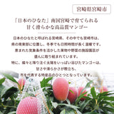 マンゴー 【NSファーム】 完熟マンゴー 糖度15度 ブランドマンゴー 熟赤の雫 4L 2個 960g 贈答用 御中元 宮崎県宮崎市《6/中旬～6/下旬より出荷》