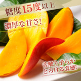 マンゴー 【NSファーム】 完熟マンゴー 糖度15度 ブランドマンゴー 熟赤の雫 2L 2個 780g 贈答用 御中元 宮崎県宮崎市《6/中旬～6/下旬より出荷》