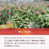 マンゴー 【NSファーム】 完熟マンゴー 糖度15度 ブランドマンゴー 熟赤の雫 2L 2個 780g 贈答用 御中元 宮崎県宮崎市《6/中旬～6/下旬より出荷》