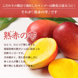マンゴー 【NSファーム】 完熟マンゴー 糖度15度 ブランドマンゴー 熟赤の雫 特大 5L 1個 500g以上 桐箱 御中元 宮崎県宮崎市 《7/上旬～7/中旬より出荷》
