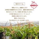 マンゴー 【NSファーム】 完熟マンゴー 糖度15度 ブランドマンゴー 熟赤の雫 4L 2個 960g 贈答用 御中元 宮崎県宮崎市《6/中旬～6/下旬より出荷》