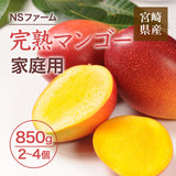 マンゴー 【NSファーム】 完熟マンゴー 850g 2～4個 家庭用 宮崎県宮崎市《6/中旬～6/下旬より出荷》