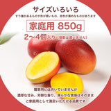 マンゴー 【NSファーム】 完熟マンゴー 850g 2～4個 家庭用 宮崎県宮崎市《6/中旬～6/下旬より出荷》