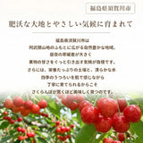 さくらんぼ 【有我果樹園】 佐藤錦 紅秀峰 紅てまり どれか1品種 1kg 2L 置き並べ 贈答用 プレゼント 福島県須賀川市 《6/中旬～6/下旬の出荷》