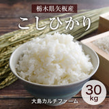 米 【大島カルチファーム】 こしひかり 玄米30㎏ 白米精米可能 令和7年産 《2025年10/中旬より出荷》