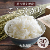 米 【大島農園】 こしひかり コシヒカリ 玄米30㎏ 白米精米可能 検査米 一等米 令和7年産 《2025年10/中旬より出荷》
