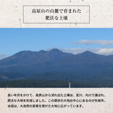 米 【大島カルチファーム】 こしひかり 玄米30㎏ 白米精米可能 令和7年産 《2025年10/中旬より出荷》