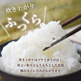 米 【大島カルチファーム】 こしひかり 玄米30㎏ 白米精米可能 令和7年産 《2025年10/中旬より出荷》