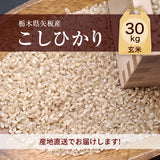 米 【大島カルチファーム】 こしひかり 玄米30㎏ 白米精米可能 令和7年産 《2025年10/中旬より出荷》