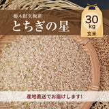 米 【大島カルチファーム】 とちぎの星 玄米30㎏ 白米精米可能 令和7年産 《2025年10/中旬より出荷》