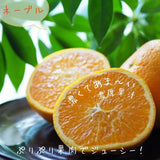 柑橘  【柑土里ファーム】 せとか ネーブル 2種類入り 3.5kg センサー 糖度12度 静岡県三ケ日 《3/上旬～3/中旬より出荷》