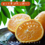 柑橘  【柑土里ファーム】 ネーブル 3.5kg 糖度センサー 糖度12度  静岡県三ケ日《3/下旬～4/上旬より出荷》