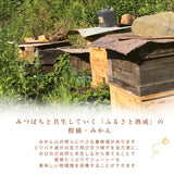 柑橘  【柑土里ファーム】 ネーブル 3.5kg 糖度センサー 糖度12度  静岡県三ケ日《3/下旬～4/上旬より出荷》