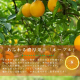 柑橘  【柑土里ファーム】 ネーブル 3.5kg 糖度センサー 糖度12度  静岡県三ケ日《3/下旬～4/上旬より出荷》