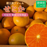 柑橘  【柑土里ファーム】 せとか 1.8kg 家庭用 糖度12度保証 静岡県三ケ日 《3/上旬～3/中旬より出荷》