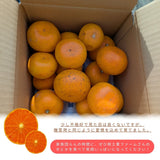 柑橘  【柑土里ファーム】 せとか 1.8kg 家庭用 糖度12度保証 静岡県三ケ日 《3/上旬～3/中旬より出荷》