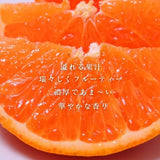 柑橘  【柑土里ファーム】 せとか 1.8kg 家庭用 糖度12度保証 静岡県三ケ日 《3/上旬～3/中旬より出荷》