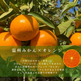 柑橘  【柑土里ファーム】 せとか 1.8kg 家庭用 糖度12度保証 静岡県三ケ日 《3/上旬～3/中旬より出荷》
