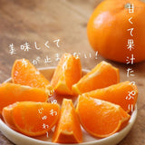 柑橘  【柑土里ファーム】 せとか 3.5kg センサー 糖度12度 静岡県三ケ日《3/上旬～3/中旬より出荷》
