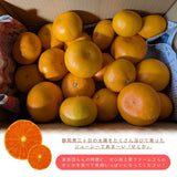 柑橘  【柑土里ファーム】 せとか 3.5kg センサー 糖度12度 静岡県三ケ日《3/上旬～3/中旬より出荷》