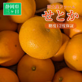 柑橘  【柑土里ファーム】 せとか 3.5kg センサー 糖度12度 静岡県三ケ日《3/上旬～3/中旬より出荷》